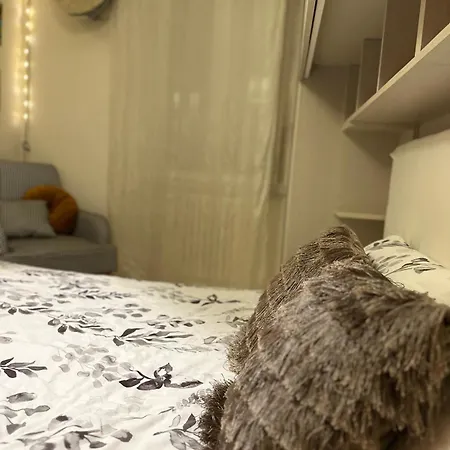 The House Di *